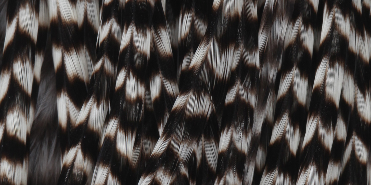 Whiting Farms Full Rooster Saddles
