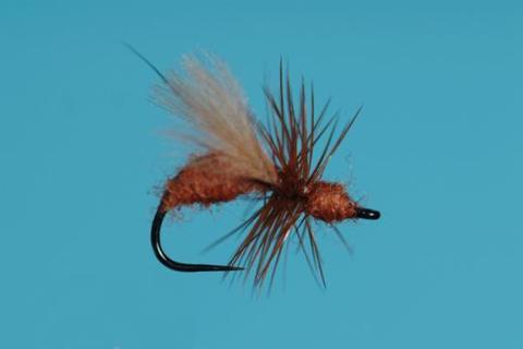 Harrop's CDC Flying Ant