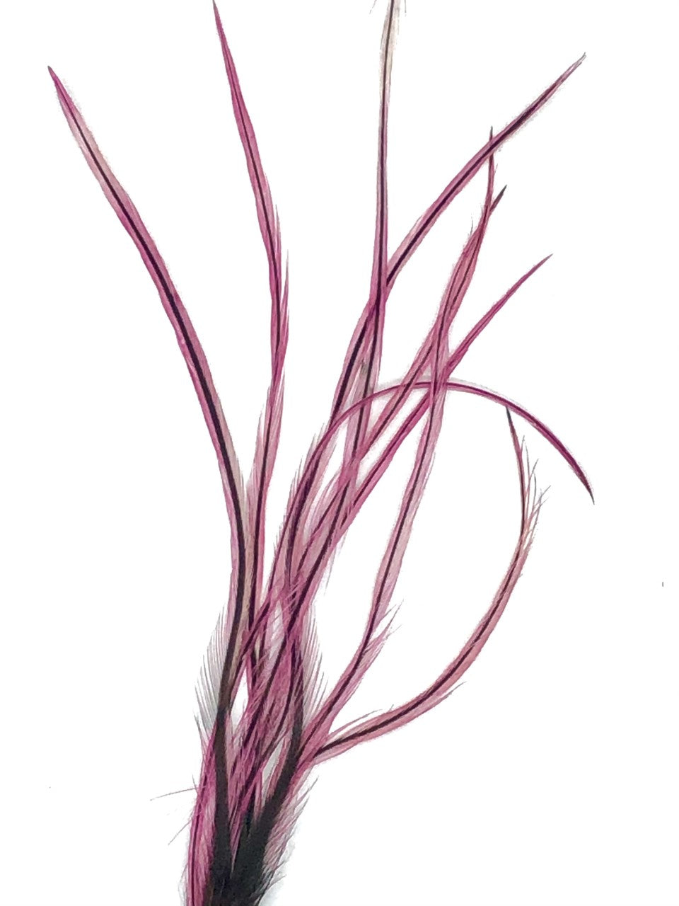 Metz #1 Dyed Badger Saddle Hackle Packs