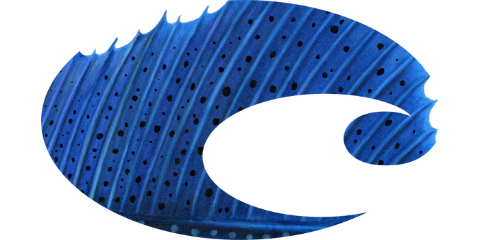 Costa Logo Decal