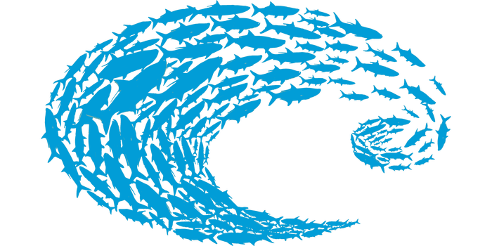 Costa Logo Decal