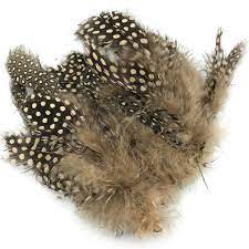 Hareline Strung Guinea Feathers