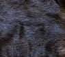 Beaver Pelt Patches