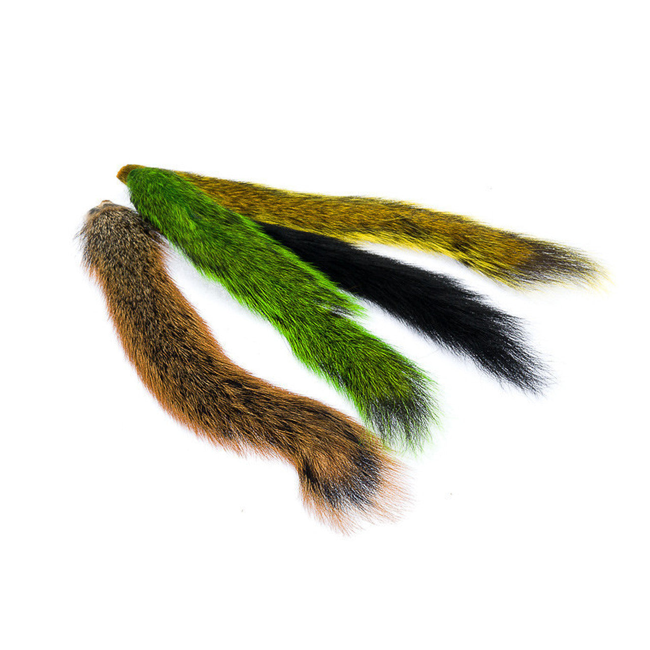 Squirrel Tail