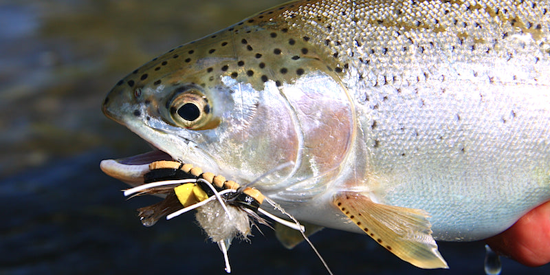 Fly Fishing 101 Float Trip