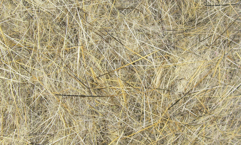 Hareline Hare's Ear Dubbing
