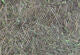 Hareline Hare's Ear Ice Dubbing