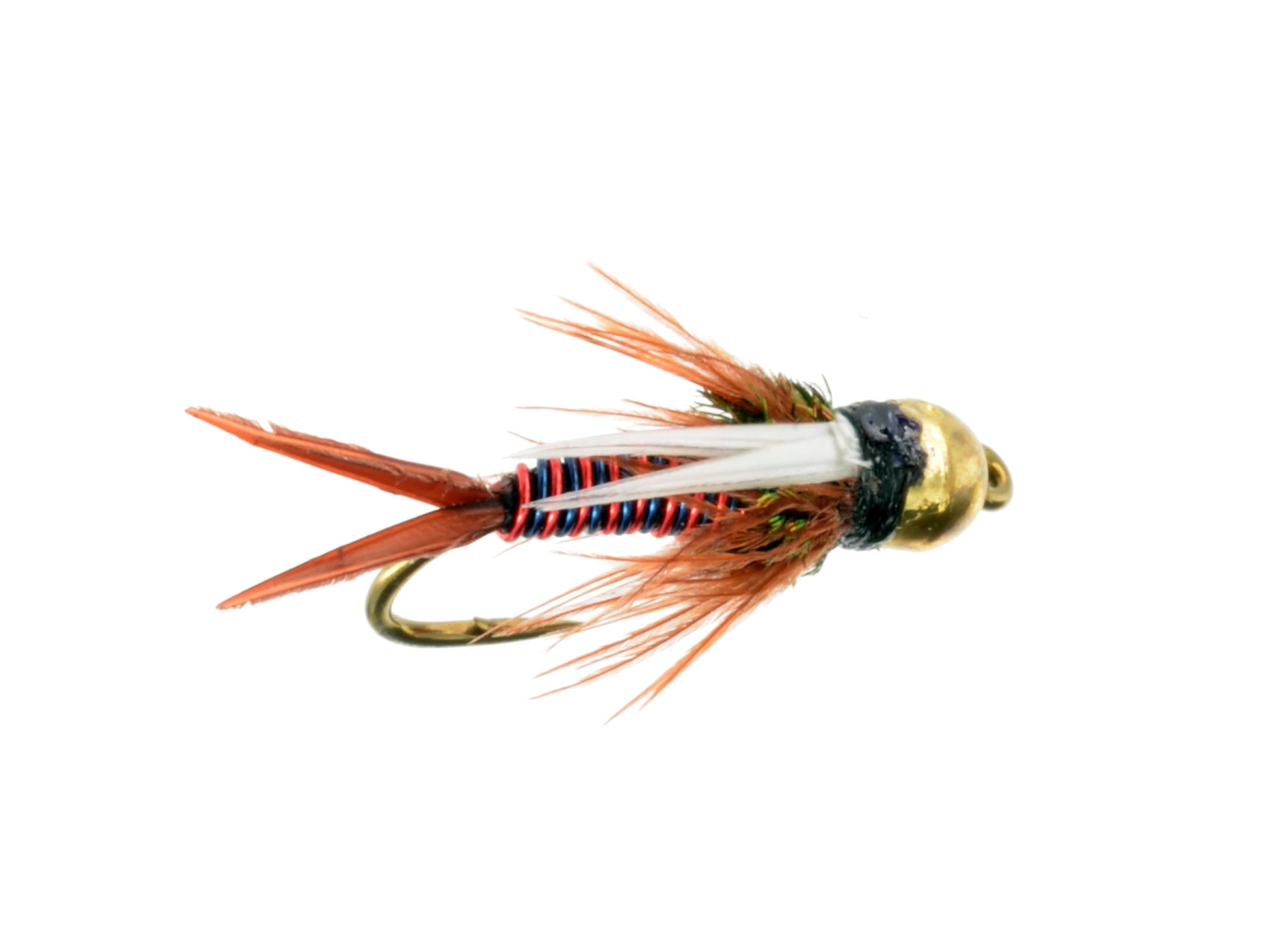 BH Hotwire Prince