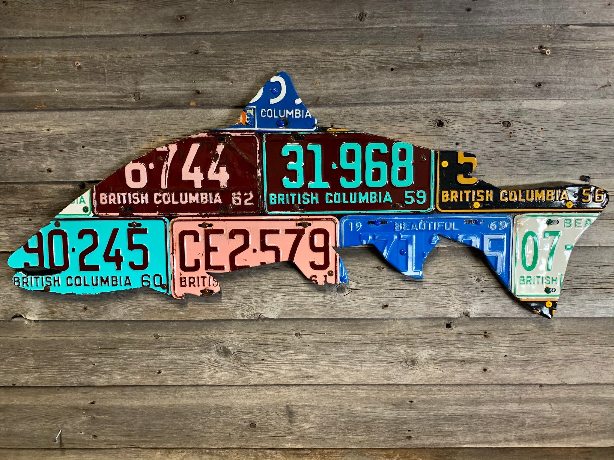 Cody's British Columbia License Plate Steelhead