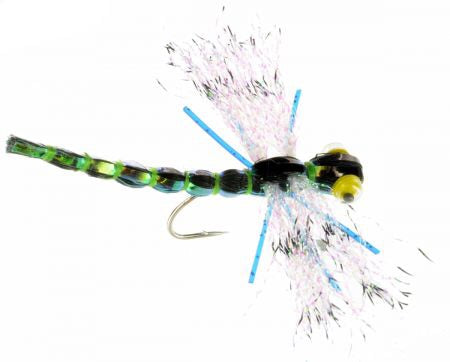 Spent Adult Dragonfly