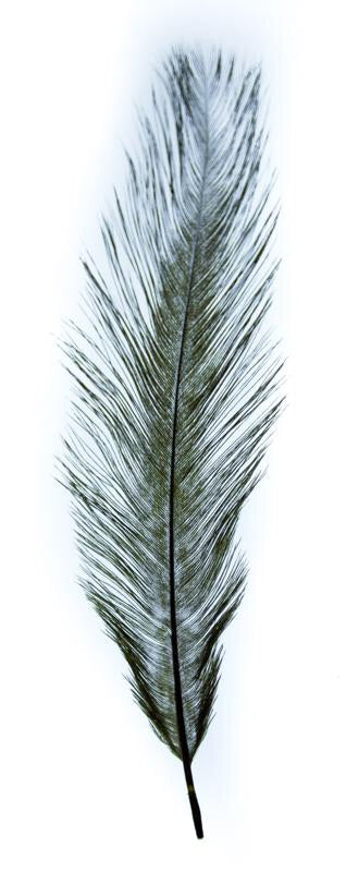 Rhea Feathers Individual Dyed Out Fly Fishing rhea-feathers-individual-dyed-out-fly-fishing