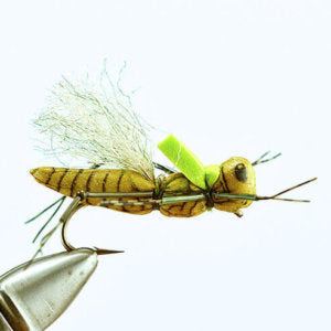 KK Henneberry's Hopper (all colors)