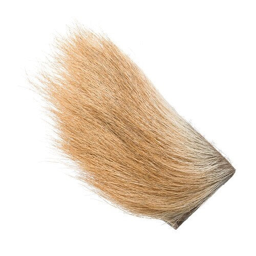 Calf Body Hair