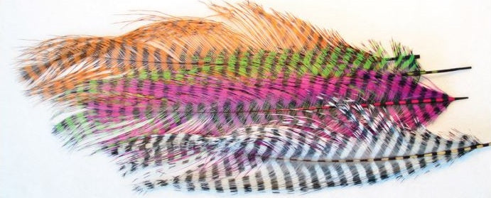 MFC Barred Ostrich Plume