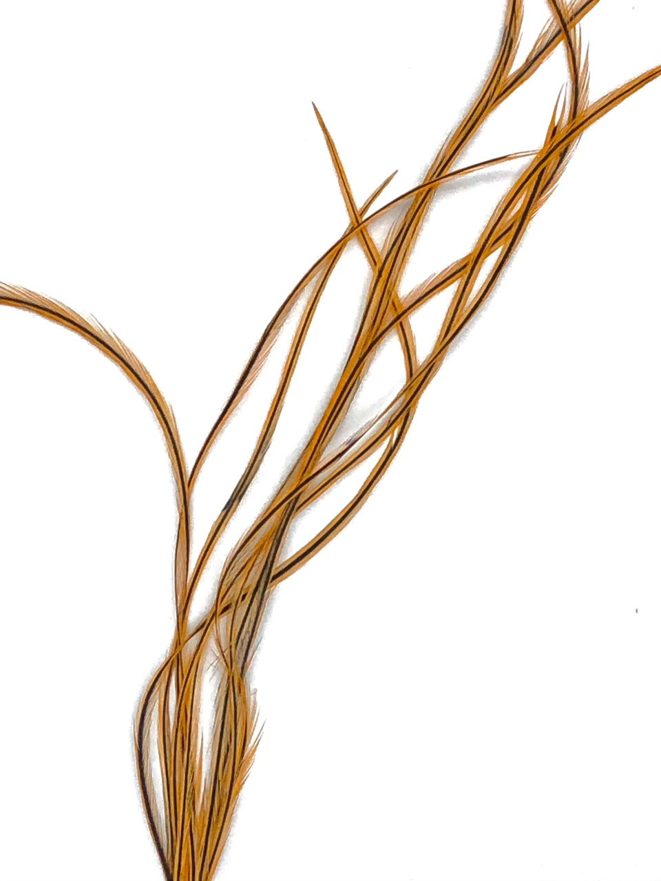 Metz #1 Dyed Badger Saddle Hackle Packs