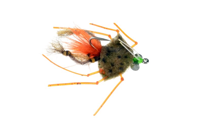 Catch's Palometa Crab: all colors