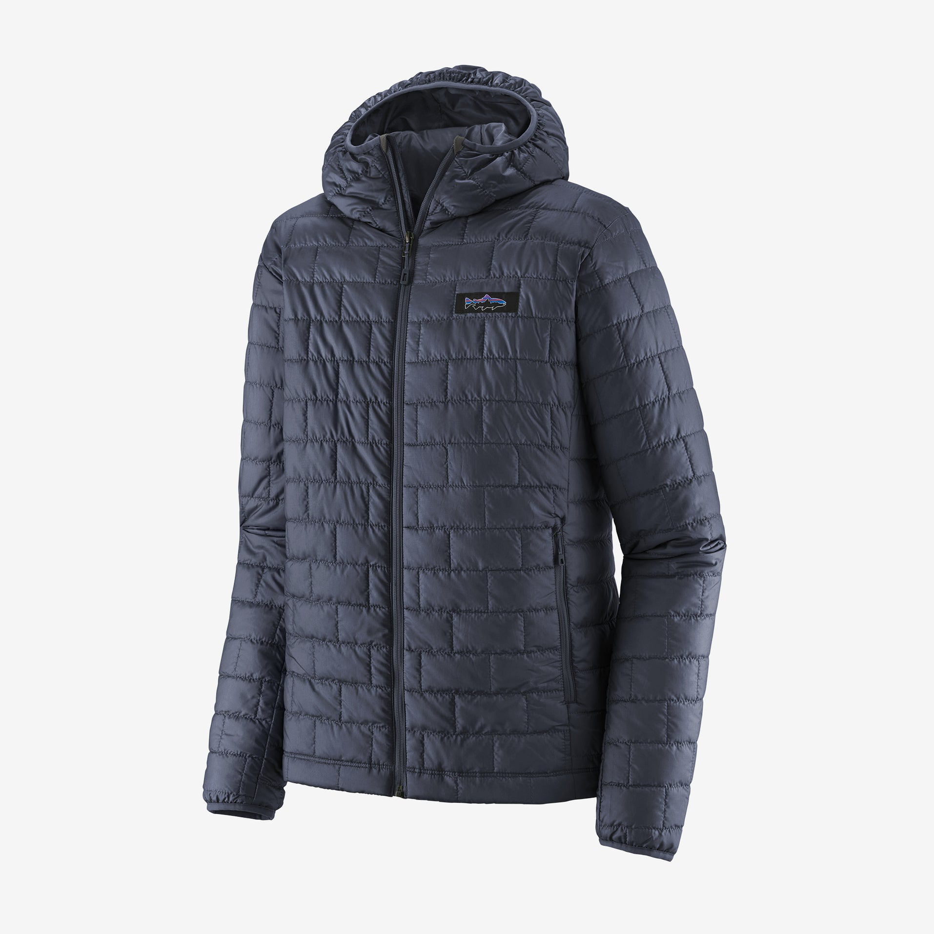 Patagonia Men's Nano Puff Fitz Roy Hoody