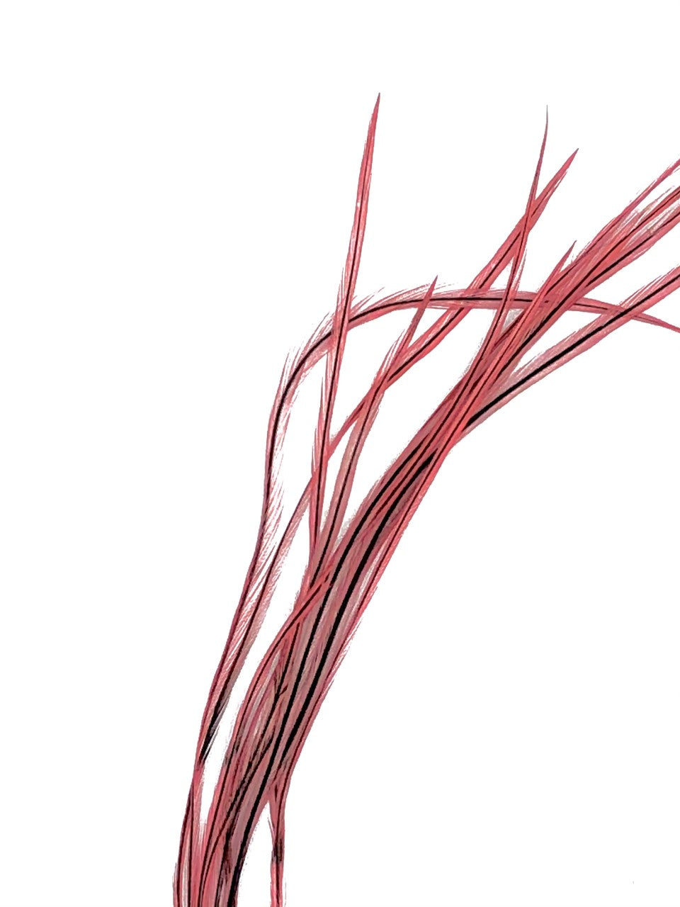 Metz #1 Dyed Badger Saddle Hackle Packs