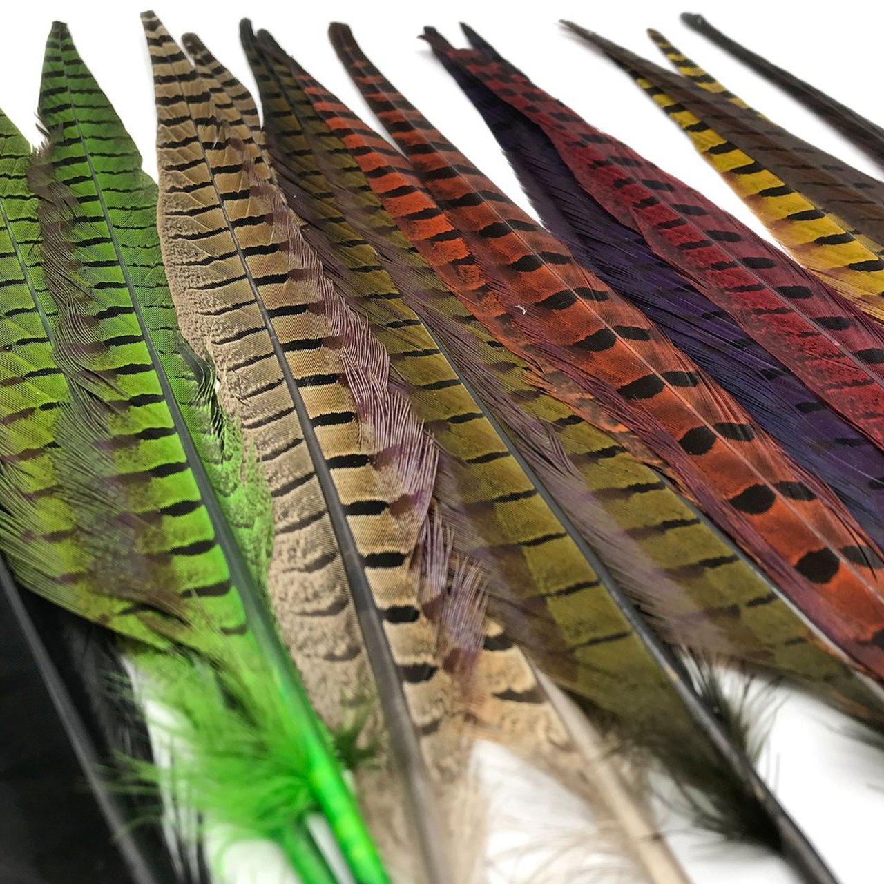 Wapsi Dyed Ringneck Tail Feathers - Pair