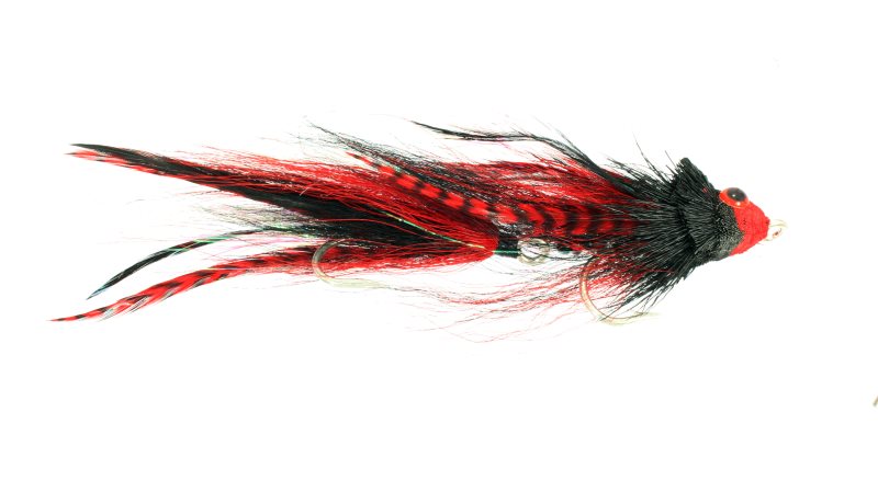 Catch Flies - Trick or Treat: All Colours
