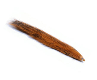 Squirrel Tail