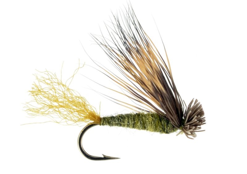 X Caddis