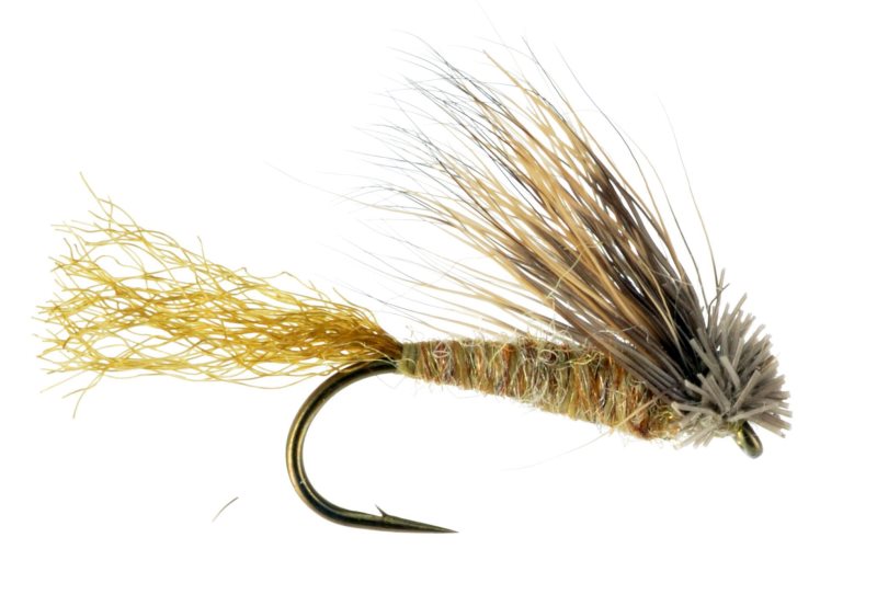 X Caddis